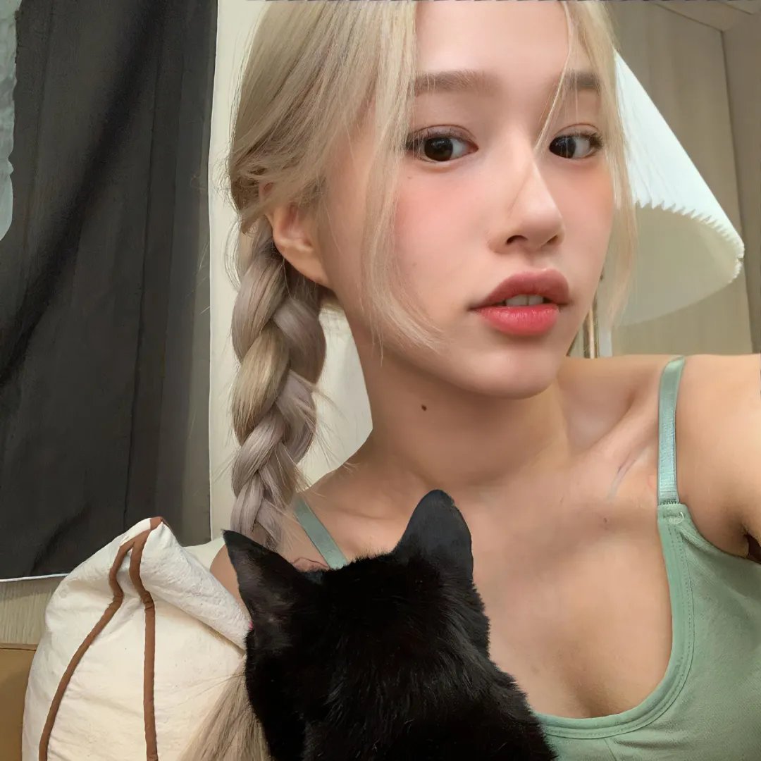 我的小狗斯齐普